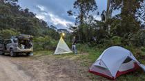 Camp and light trap on the dirt road to Nambija mine, Zamora-Chinchipe, at about 1700m. Oliverio set the sheet up like
a tent. It worked well enough, but having to climb inside the tent to get to those insect that made their
way in was a real pain for my knees.